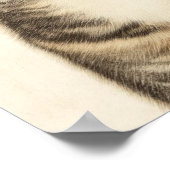 Dürer's Tabby Treasures 4 Poster (Ecke)