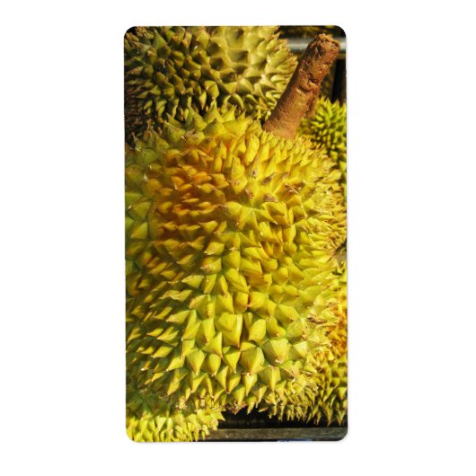 Durian Fruit (Vorne)