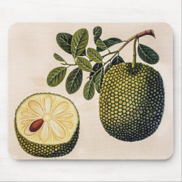 Durian Fruit and Foliage Mousepad