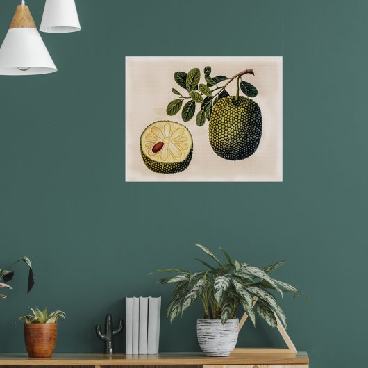 Durian Fruit and Foliage Poster (Wohnzimmer 1)