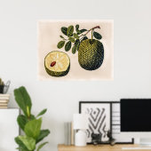 Durian Fruit and Foliage Poster (Heimbüro)