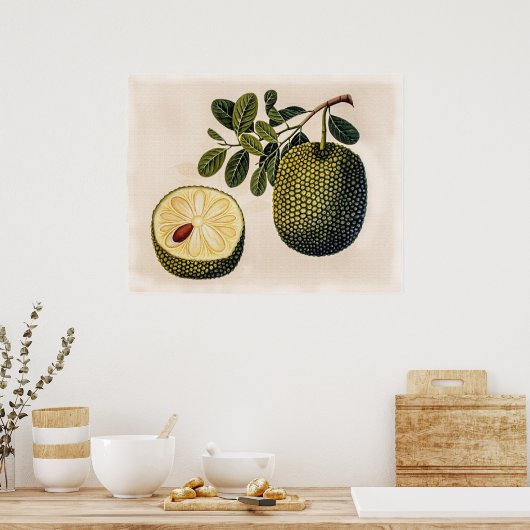 Durian Fruit and Foliage Poster (Küche)