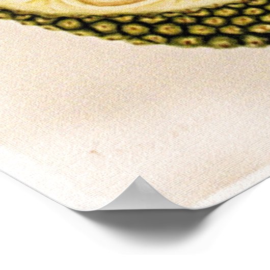 Durian Fruit and Foliage Poster (Ecke)