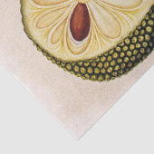 Durian Fruit and Foliage Seidenpapier (Detail)