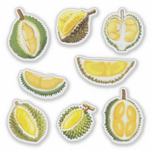 Durian Fruit Aufkleber