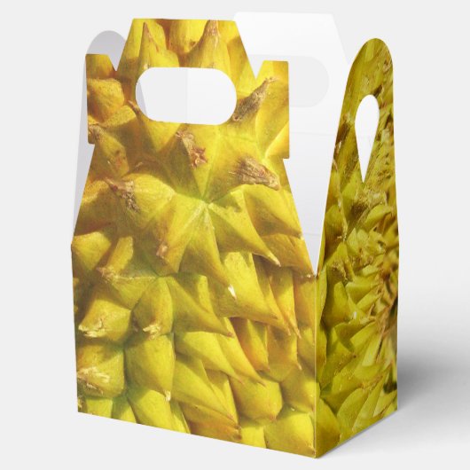 Durian Fruit Geschenkschachtel (Geöffnet)