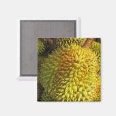 Durian Fruit Magnet (Vorderseite/Rückseite)