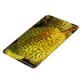 Durian Fruit Magnet (Linke Seite)