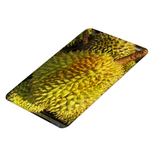 Durian Fruit Magnet (Linke Seite)
