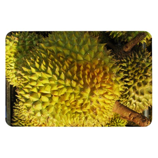 Durian Fruit Magnet (Horizontal)