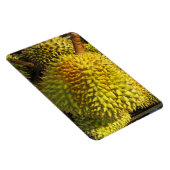 Durian Fruit Magnet (Rechte Seite)