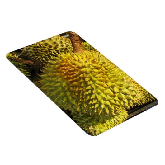 Durian Fruit Magnet (Rechte Seite)