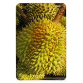 Durian Fruit Magnet (Vertikal)