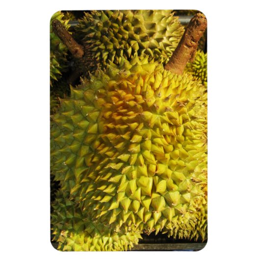 Durian Fruit Magnet (Vertikal)