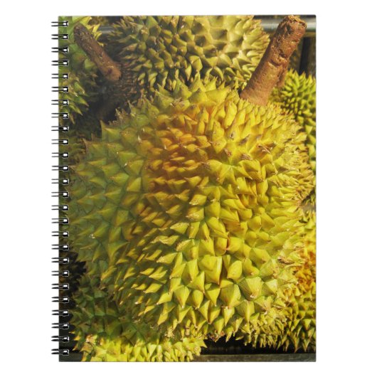 Durian Fruit Notizblock (Vorderseite)