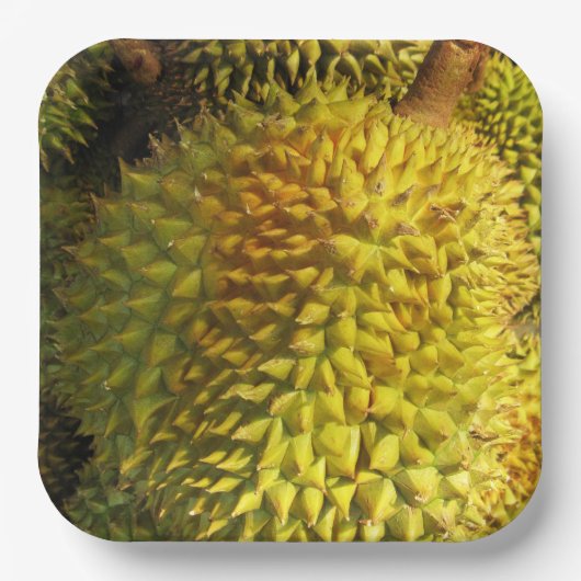Durian Fruit Pappteller (Vorderseite)