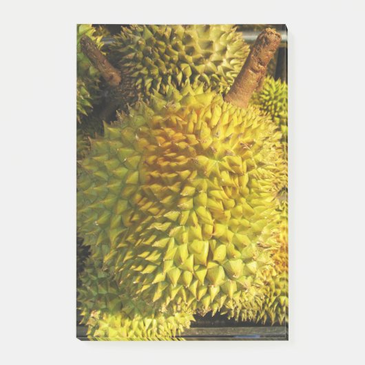 Durian Fruit Post-it Klebezettel (Vorderseite)