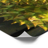 Durian Fruit Poster (Ecke)