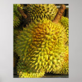Durian Fruit Poster (Vorne)