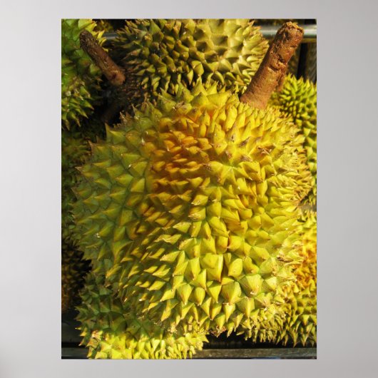 Durian Fruit Poster (Vorne)