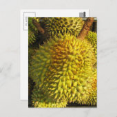 Durian Fruit Postkarte (Vorne/Hinten)