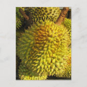 Durian Fruit Postkarte (Vorderseite)