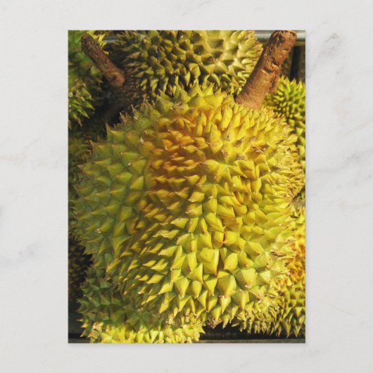 Durian Fruit Postkarte (Vorderseite)