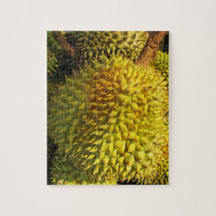Durian Fruit Puzzle
