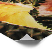 Durian Ice Bar Tropical Fruit Popsicle Poster (Ecke)