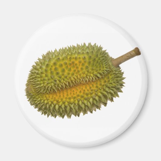 Durian Magnet (Vorne)