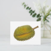 Durian Postkarte (Stehend Vorderseite)