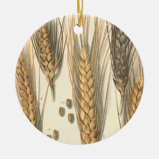 Dürreresistente Pflanze von Weizen, Vintage Landwi Keramikornament (Vorne)