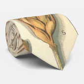 Dürreresistente Pflanze von Weizen, Vintage Landwi Krawatte (Gerollt)