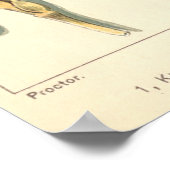 Dürreresistente Pflanze von Weizen, Vintage Landwi Poster (Ecke)