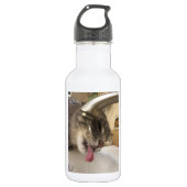 Durstige Katzenwasserflasche Edelstahlflasche (Vorderseite)