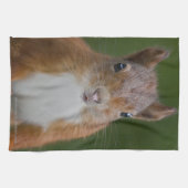 Durstiges Eichhörnchen-Geschirrtuch Geschirrtuch (Horizontal)