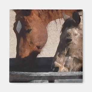 Durstiges Pferdegetränk an der Wasser-Abflussrinn Magnet