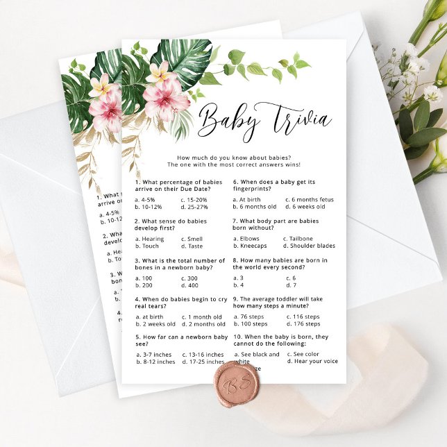 Duschbäder mit Duschbrause (Von Creator hochgeladen)