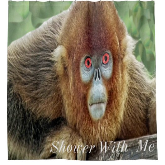 Dusche mit Affe Duschvorhang (Vorderseite)