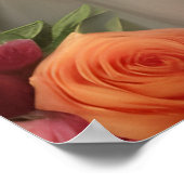 Dusche von Rose Poster (Ecke)