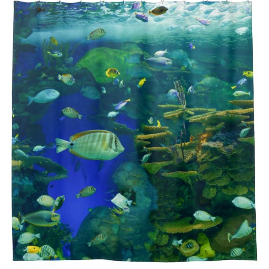 Duschvorhang (Vorderseite)