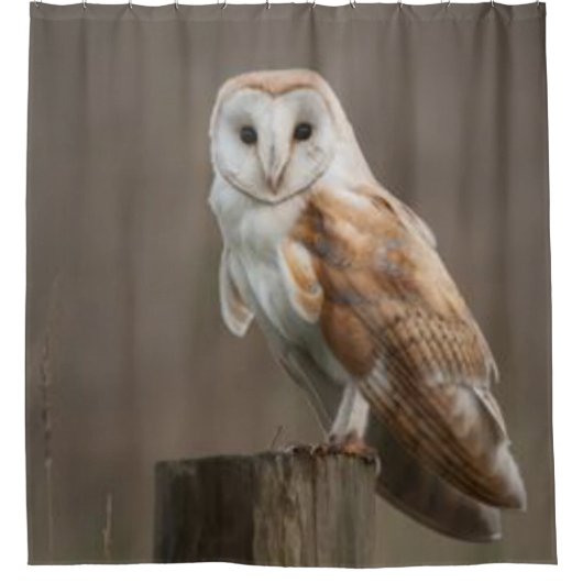 Duschvorhang (Vorderseite)