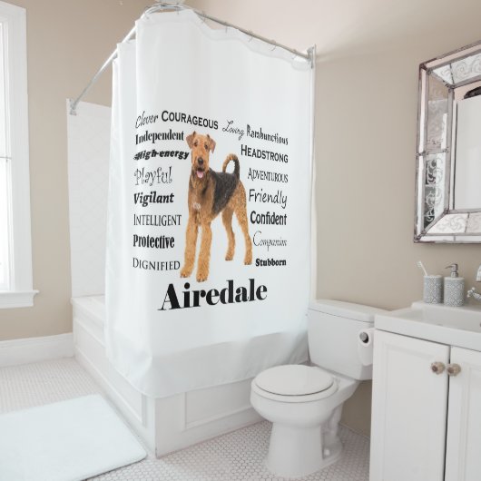 Duschvorhang (Beispiel)