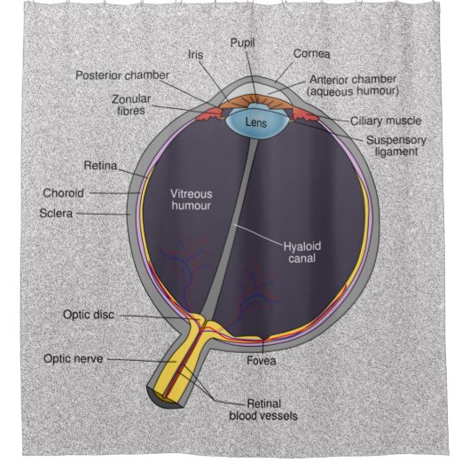 Duschvorhang aus dem Auge (Vorderseite)