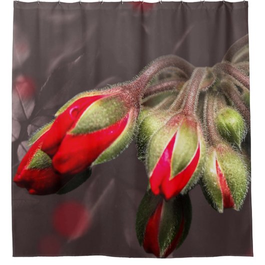 Duschvorhang blass rot und dunkel (Vorderseite)