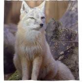 Duschvorhang Corsac Fox (Vorderseite)