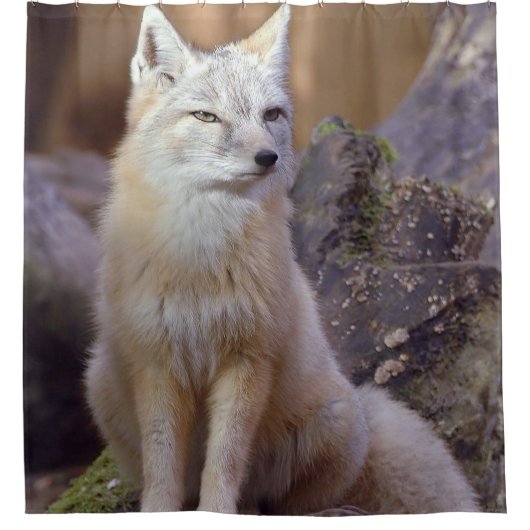 Duschvorhang Corsac Fox (Vorderseite)