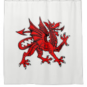 Duschvorhang Drache (Vorderseite)