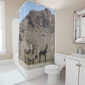 Duschvorhang für Wildtiere, Burros, Arizona (Beispiel)