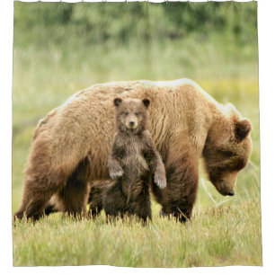 Duschvorhang mit Grizzlybären u. Jungen